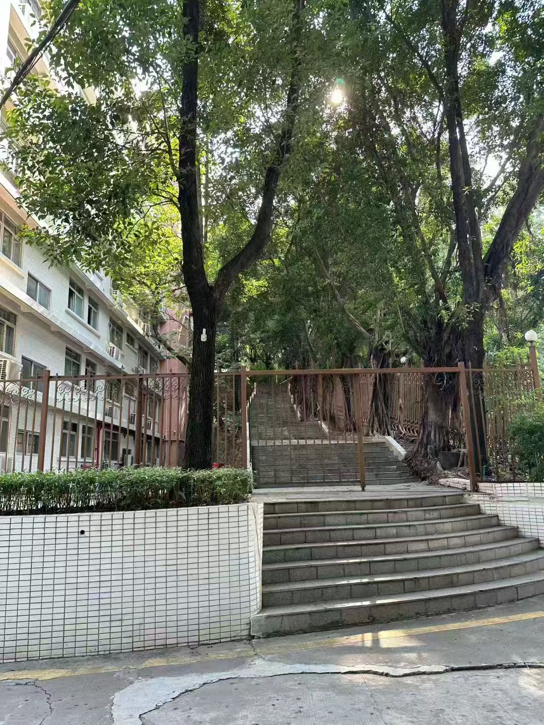 办案动态配图 9
