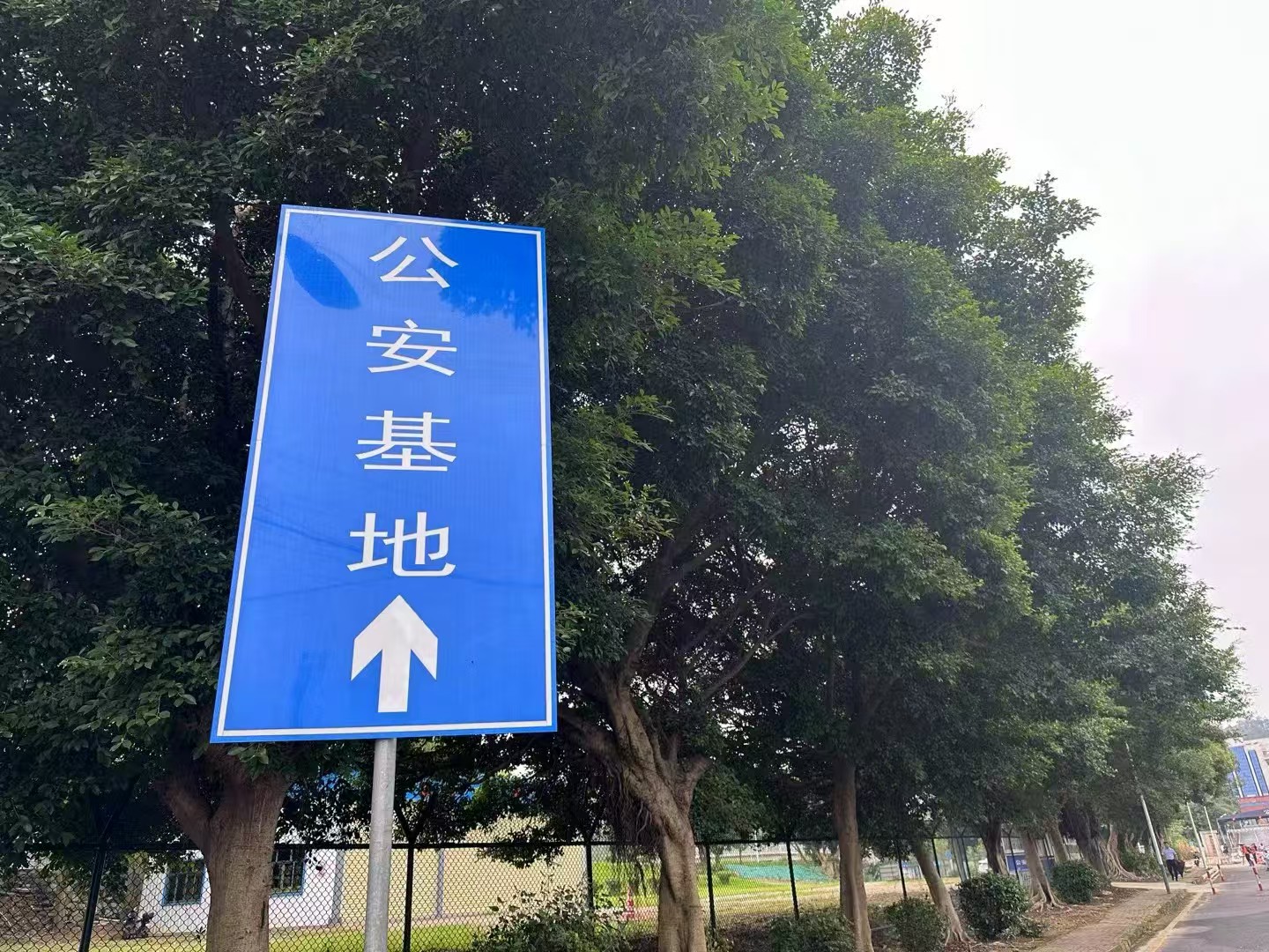 办案动态配图 1