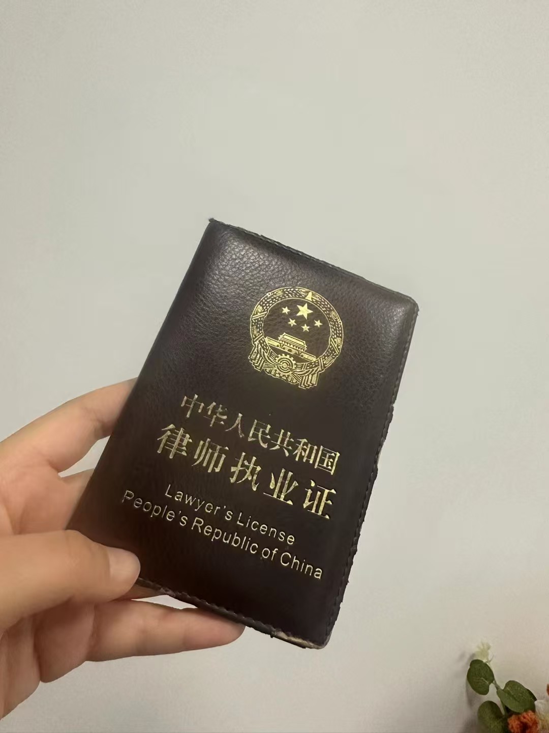 办案动态配图 1