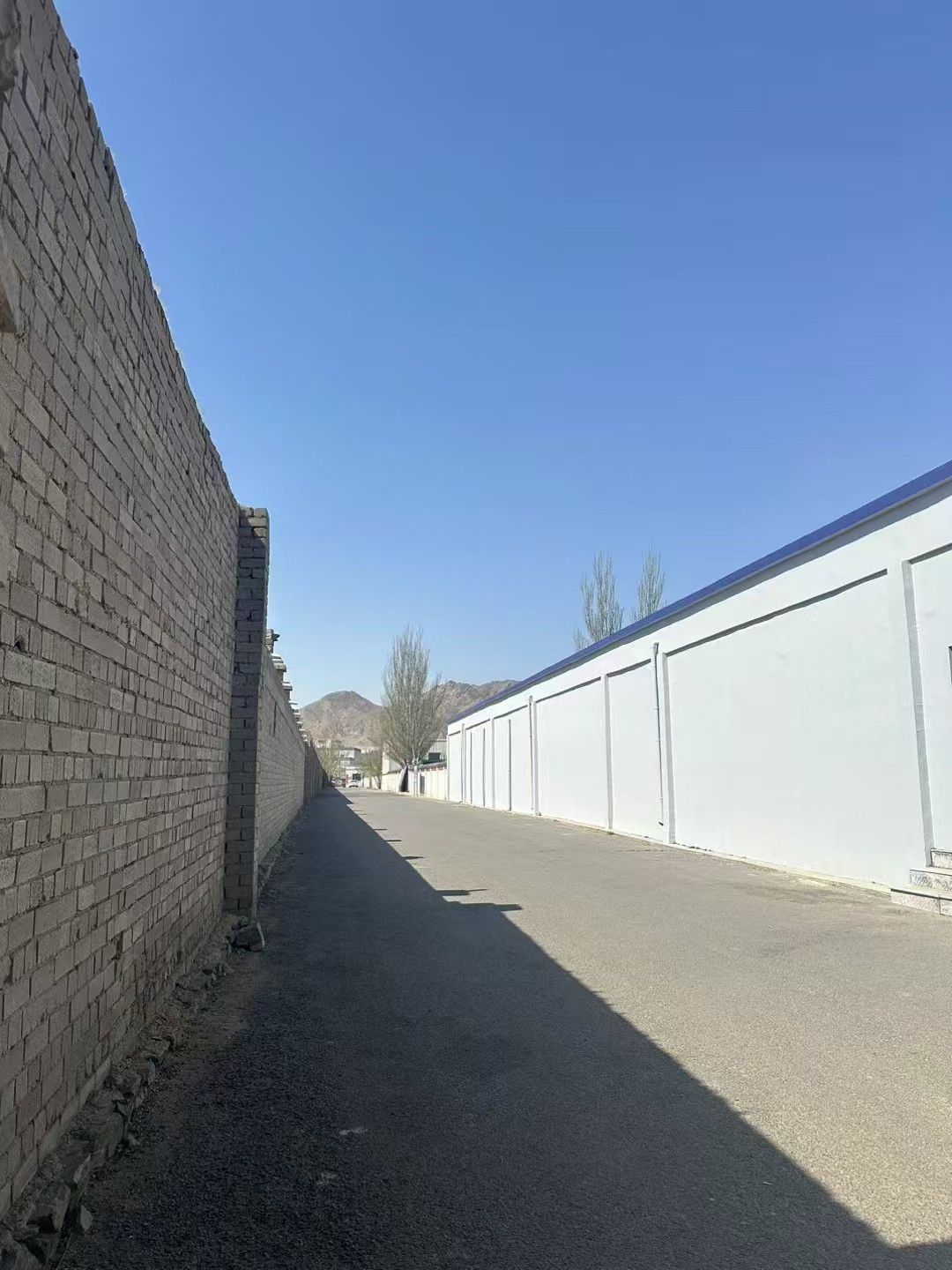 办案动态配图 3