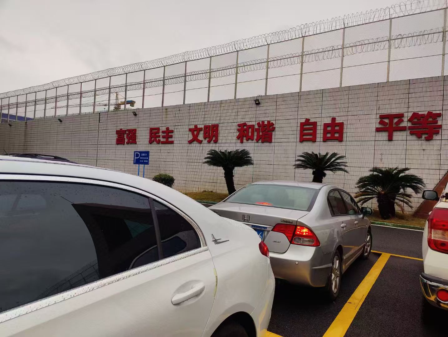办案动态配图 4