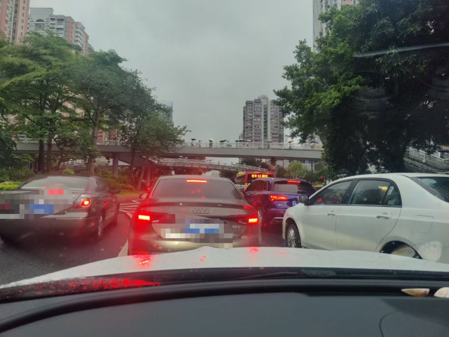 办案动态配图 1