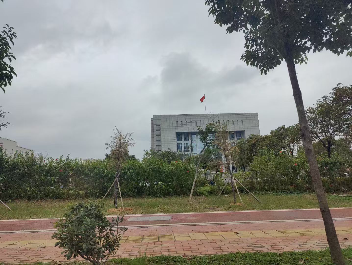 办案动态配图 2