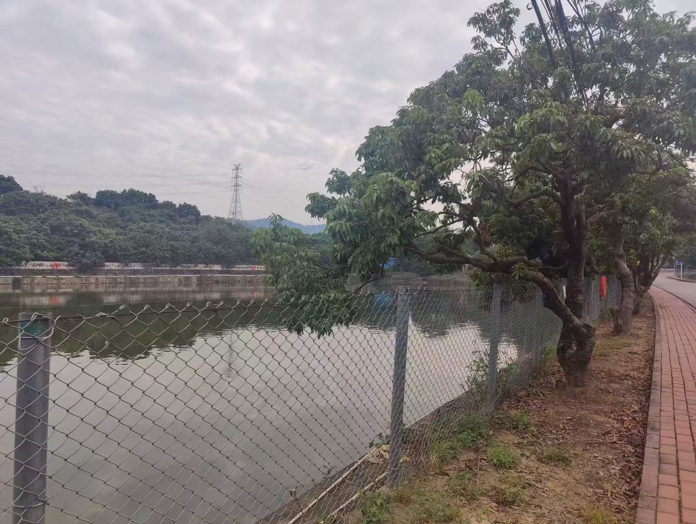 办案动态配图 1