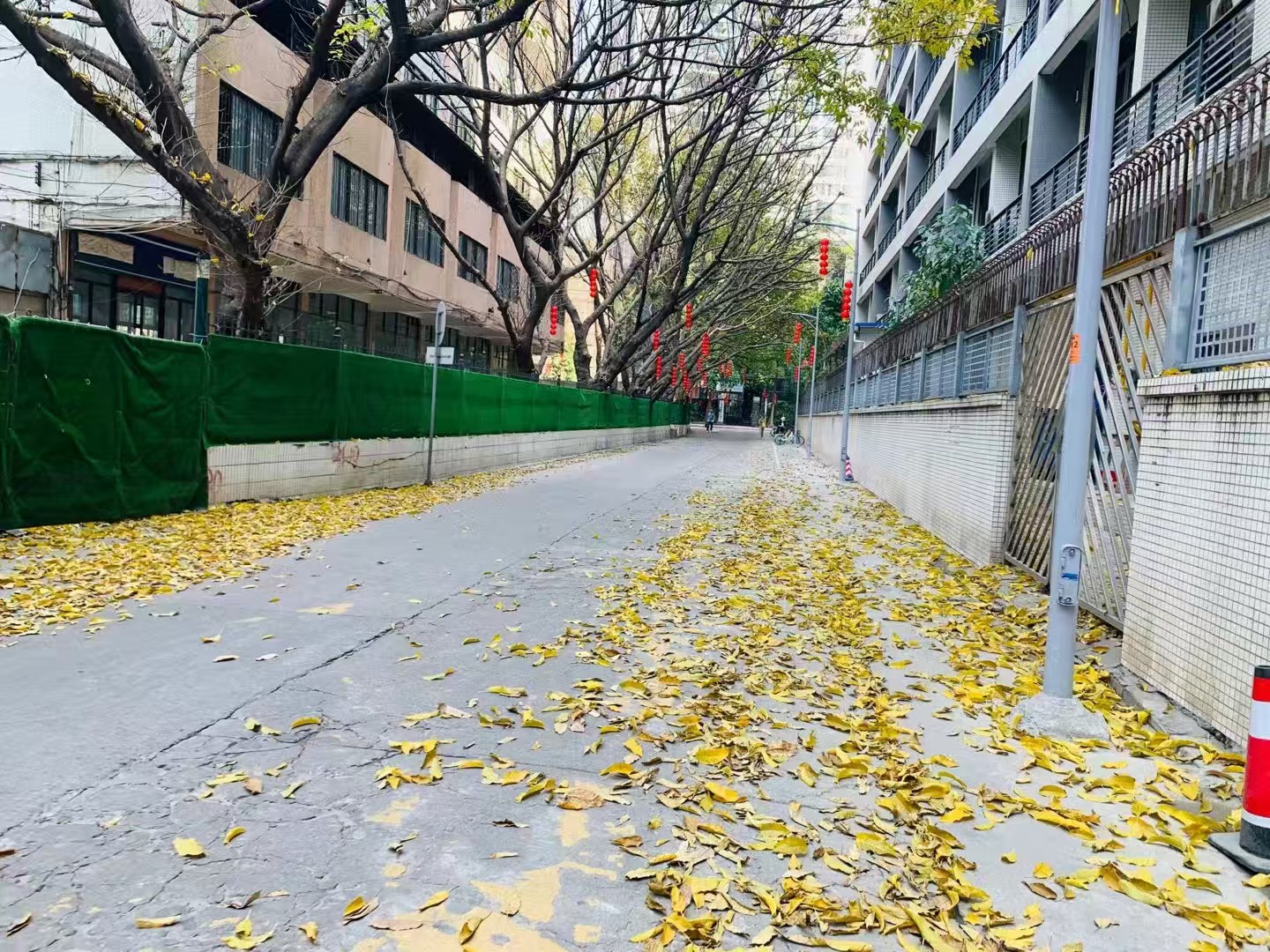 办案动态配图 1